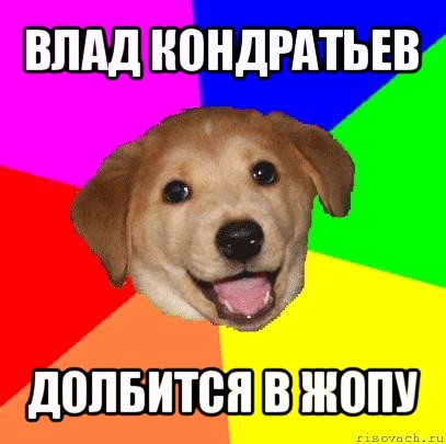 влад кондратьев долбится в жопу, Мем Advice Dog