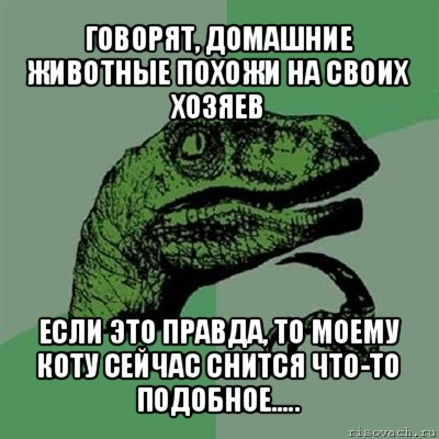 говорят, домашние животные похожи на своих хозяев если это правда, то моему коту сейчас снится что-то подобное….., Мем Филосораптор