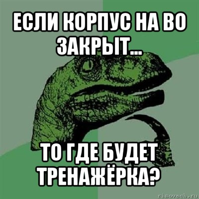 если корпус на во закрыт... то где будет тренажёрка?, Мем Филосораптор