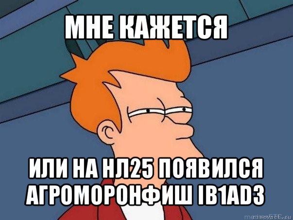 мне кажется или на нл25 появился агроморонфиш ib1ad3, Мем  Фрай (мне кажется или)