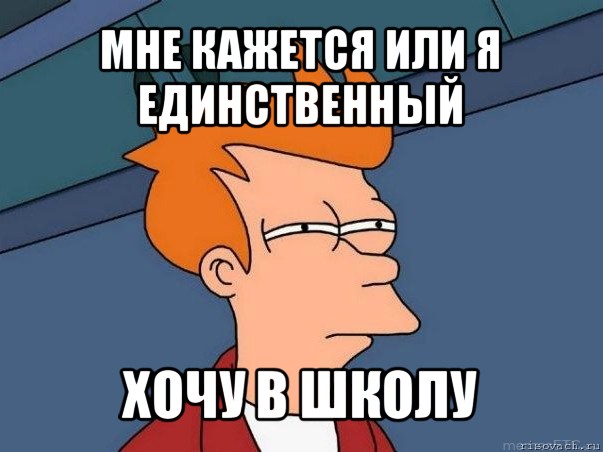 мне кажется или я единственный хочу в школу, Мем  Фрай (мне кажется или)