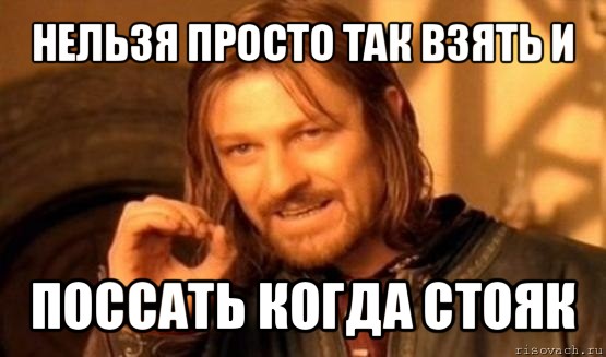 нельзя просто так взять и поссать когда стояк, Мем Нельзя просто так взять и (Боромир мем)