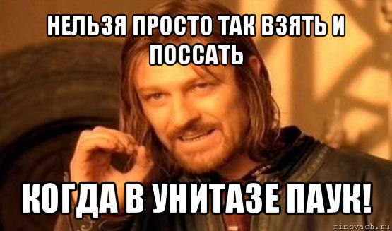 нельзя просто так взять и поссать когда в унитазе паук!, Мем Нельзя просто так взять и (Боромир мем)