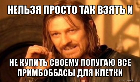 нельзя просто так взять и не купить своему попугаю все примбоббасы для клетки, Мем Нельзя просто так взять и (Боромир мем)