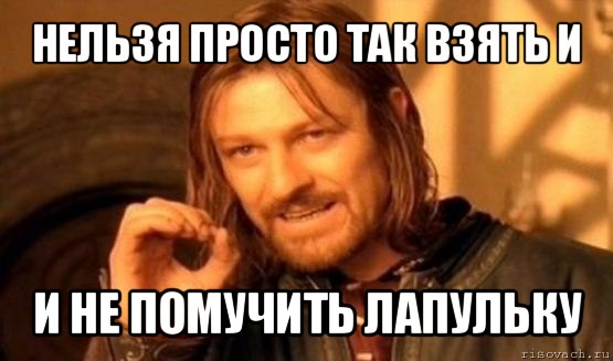 нельзя просто так взять и и не помучить лапульку, Мем Нельзя просто так взять и (Боромир мем)