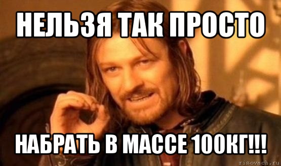 нельзя так просто набрать в массе 100кг!!!, Мем Нельзя просто так взять и (Боромир мем)