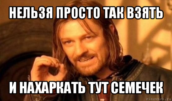 нельзя просто так взять и нахаркать тут семечек, Мем Нельзя просто так взять и (Боромир мем)