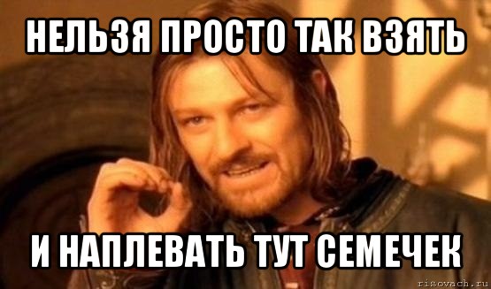 нельзя просто так взять и наплевать тут семечек, Мем Нельзя просто так взять и (Боромир мем)