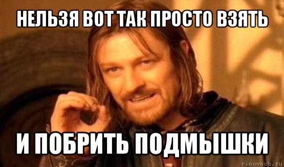 нельзя вот так просто взять и побрить подмышки, Мем Нельзя просто так взять и (Боромир мем)