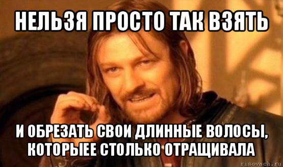 нельзя просто так взять и обрезать свои длинные волосы, которыее столько отращивала, Мем Нельзя просто так взять и (Боромир мем)