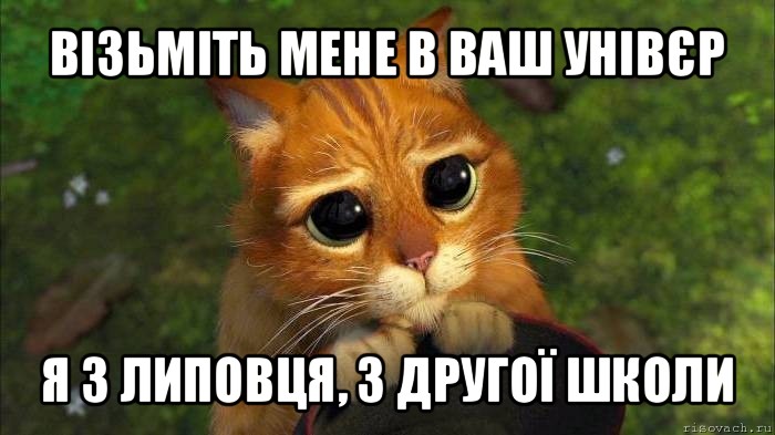 візьміть мене в ваш унівєр я з липовця, з другої школи, Мем кот из шрека