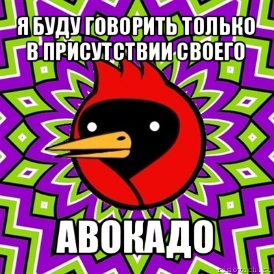 я буду говорить только в присутствии своего авокадо, Мем Омская птица