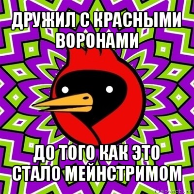 дружил с красными воронами до того как это стало мейнстримом, Мем Омская птица