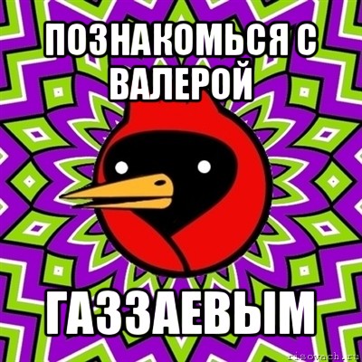 познакомься с валерой газзаевым, Мем Омская птица