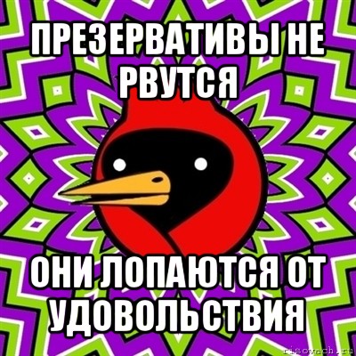 презервативы не рвутся они лопаются от удовольствия, Мем Омская птица