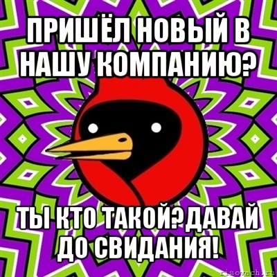 пришёл новый в нашу компанию? ты кто такой?давай до свидания!, Мем Омская птица