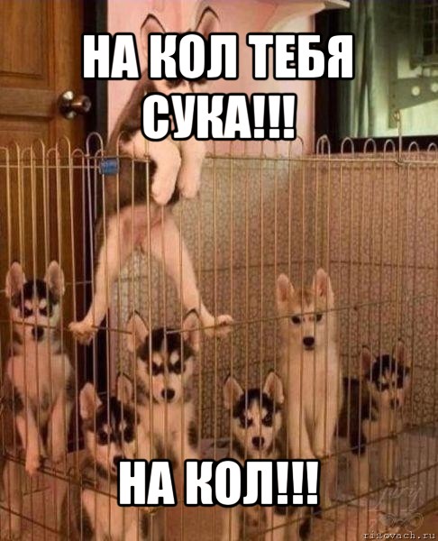 на кол тебя сука!!! на кол!!!