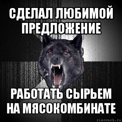 сделал любимой предложение работать сырьем на мясокомбинате, Мем Сумасшедший волк