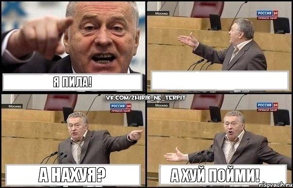 Я пила!  А нахуя? А хуй пойми!, Комикс Жириновский