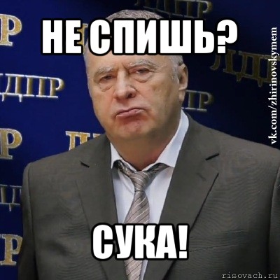 не спишь? сука!, Мем Хватит это терпеть (Жириновский)