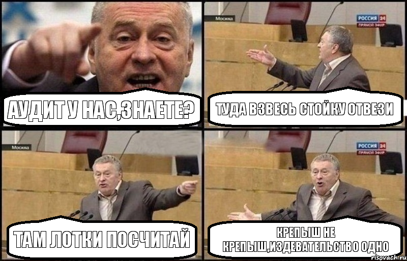 АУДИТ У НАС,ЗНАЕТЕ? ТУДА ВЗВЕСЬ СТОЙКУ ОТВЕЗИ ТАМ ЛОТКИ ПОСЧИТАЙ КРЕПЫШ НЕ КРЕПЫШ,ИЗДЕВАТЕЛЬСТВО ОДНО, Комикс Жириновский