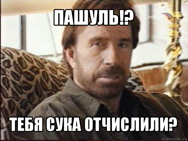 пашуль!? тебя сука отчислили?, Мем чак норрис