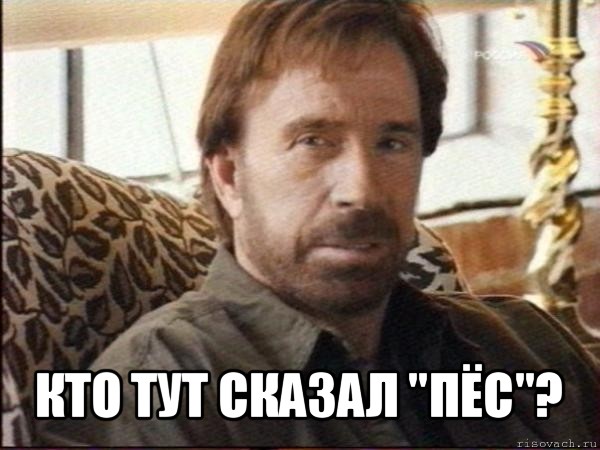  кто тут сказал "пёс"?, Мем чак норрис