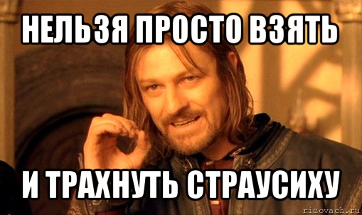 нельзя просто взять и трахнуть страусиху, Мем Нельзя просто так взять и (Боромир мем)