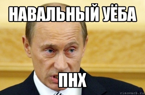 навальный уёба пнх, Мем путин