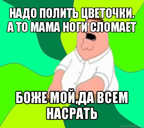 надо полить цветочки. а то мама ноги сломает боже мой,да всем насрать, Мем  Да всем насрать (Гриффин)