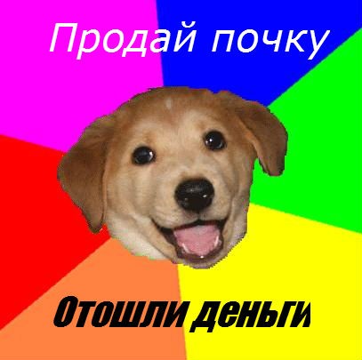 Мем Advice Dog