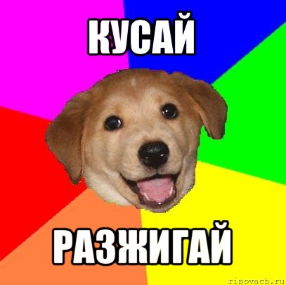 кусай разжигай, Мем Advice Dog