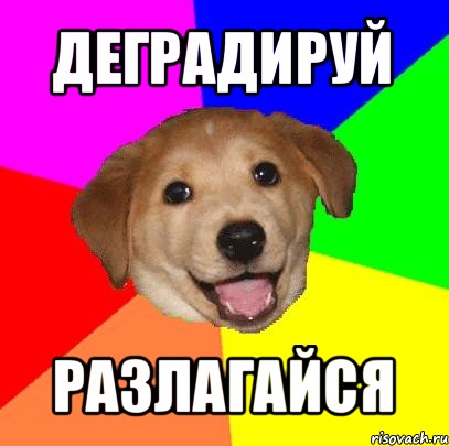 деградируй разлагайся, Мем Advice Dog