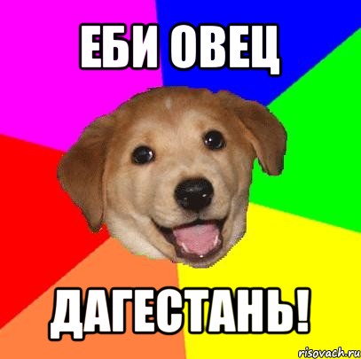 еби овец дагестань!, Мем Advice Dog