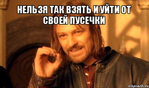 нельзя так взять и уйти от своей пусечки , Мем Нельзя просто так взять и (Боромир мем)