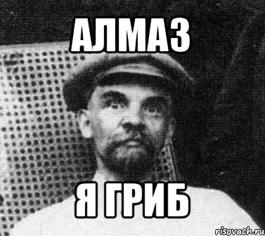 алмаз я гриб, Мем   Ленин удивлен