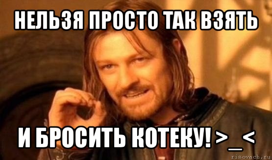 нельзя просто так взять и бросить котеку! >_<, Мем Нельзя просто так взять и (Боромир мем)