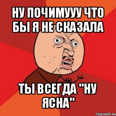 ну почимууу что бы я не сказала ты всегда "ну ясна", Мем Почему