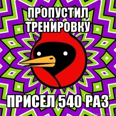 пропустил тренировку присел 540 раз, Мем Омская птица