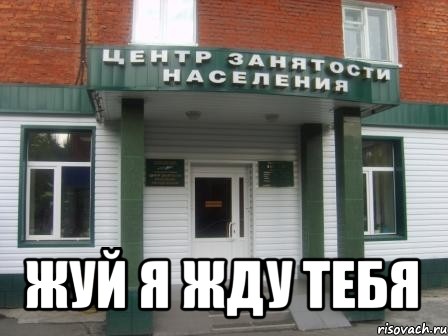  жуй я жду тебя, Мем Служба занятости населения