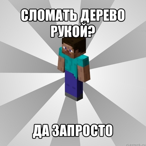 сломать дерево рукой? да запросто, Мем Типичный игрок Minecraft