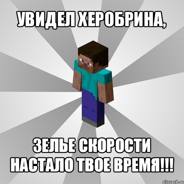 увидел херобрина, зелье скорости настало твое время!!!, Мем Типичный игрок Minecraft