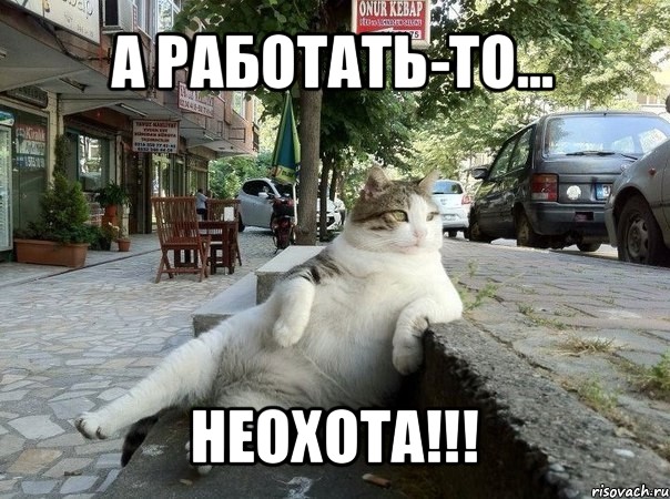 а работать-то... неохота!!!