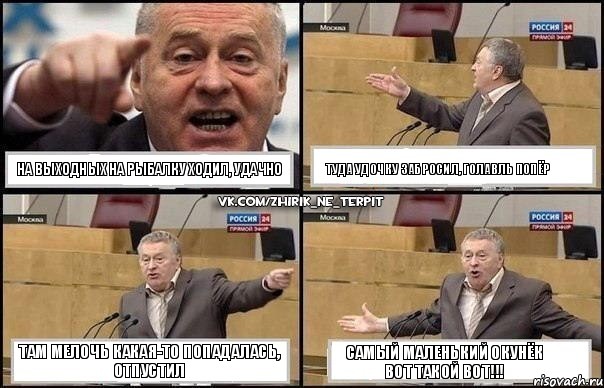 На выходных на рыбалку ходил, удачно Туда удочку забросил, голавль попёр Там мелочь какая-то попадалась, отпустил Самый маленький окунёк вот такой вот!!!, Комикс Жириновский