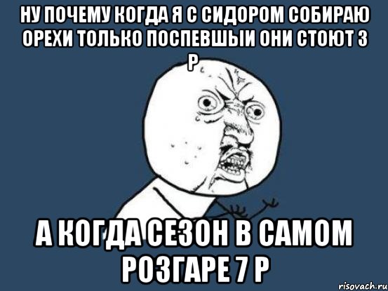 ну почему когда я с сидором собираю орехи только поспевшыи они стоют 3 р а когда сезон в самом розгаре 7 р, Мем Ну почему