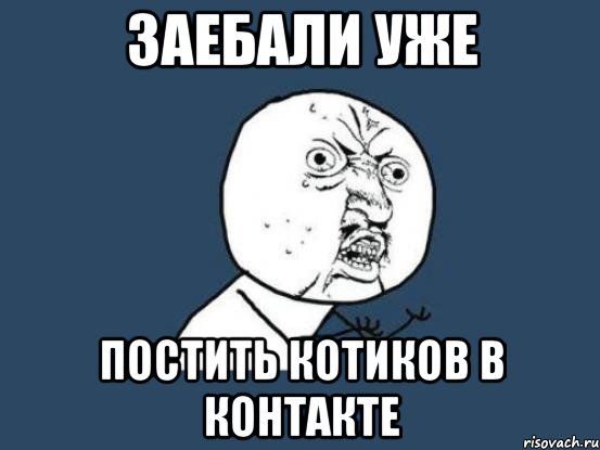 заебали уже постить котиков в контакте, Мем Ну почему