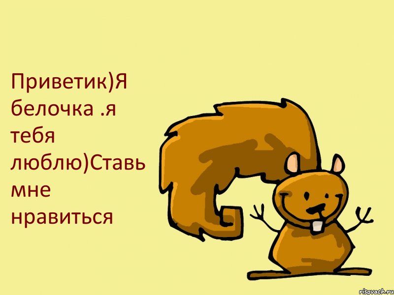 Приветик)Я белочка .я тебя люблю)Ставь мне нравиться