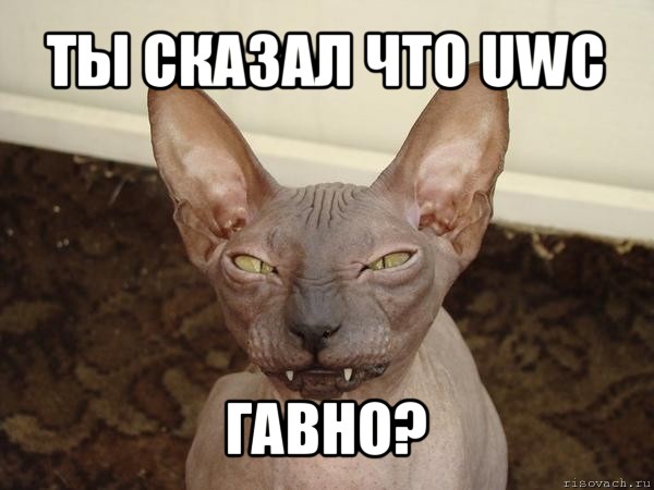 ты сказал что uwc гавно?