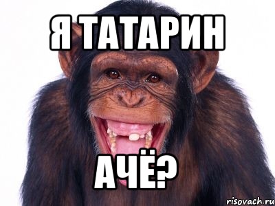 я татарин ачё?, Мем мавпа