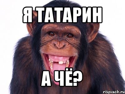 я татарин а чё?